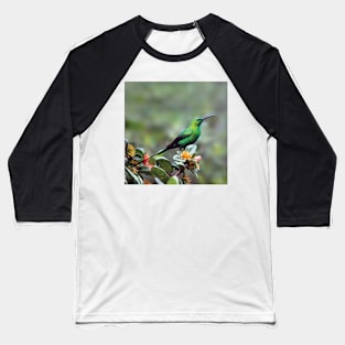 Gorgeous Malachite Sunbird | African Wildlife Baseball T-Shirt